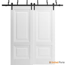 Lucia 8831 White Silk Double Barn Door and Black Bypass Rail