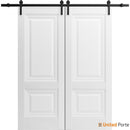 Lucia 8831 White Silk Double Barn Door and Black Rail