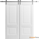 Lucia 8831 White Silk Double Barn Door and Silver Rail