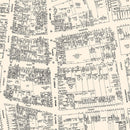 Vintage Map of Trenton, NJ Business Section 1947