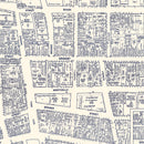 Vintage Map of Norfolk, VA Business Section 1950