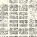 Vintage Map of Birmingham, AL Business Section 1929