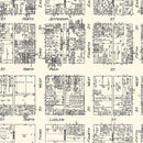 Vintage Map of Dayton, OH Business Section 1929