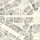 Vintage Map of Detroit, MI Business Section 1929