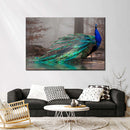 Elegant Blue Peacock Wall Art
