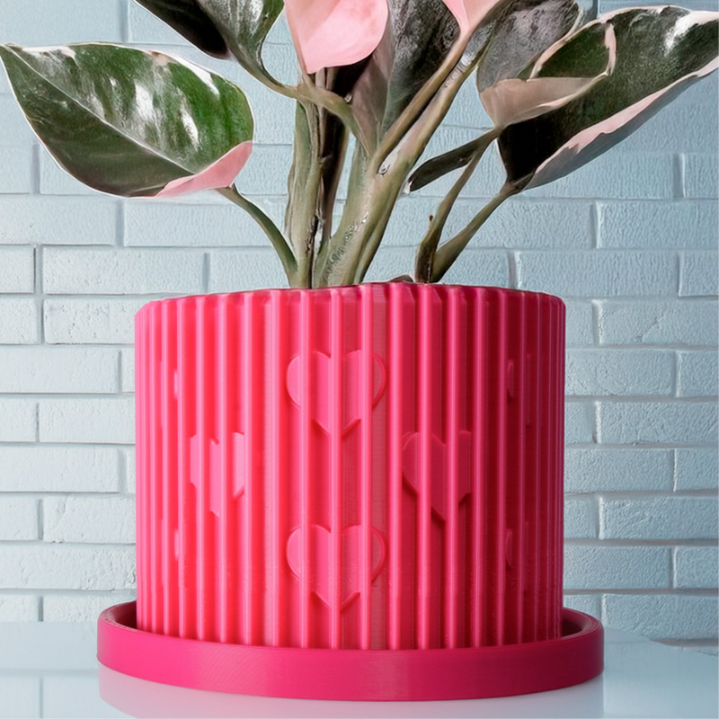 pink heart shaped house plant Modern Heart-Shaped Planter with Drainage & Saucer – Unique Valentine'