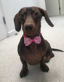 Valentine's Bow Tie