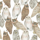 Owls Wallpaper