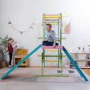 Grove | Foldable Jungle Gym - Wall Mounted - Rainbow