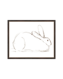 Bunny Charcoal Sketch
