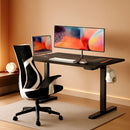 47.2 Inches Electric Standing Desk Height Adjustable