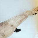 Driftwood Handrail (8–13 FT) | Rustic Coastal Stair Railing