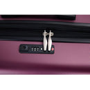 3 Piece Luggage Sets PC Lightweight & Durable Expandable Suitcase with Two Hooks, Double Spinner Wheels, TSA Lock, (21/25/29) Wine Red