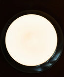 13"w 1-Light LED Flush Mount Ceiling Light Fixture Brushed Nickel Finish by RP Lighting