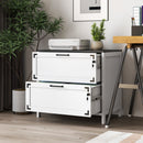 2 Drawer Farmhouse File Cabinet,Filing Cabinet with Lock for Home Office