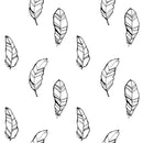 Black and White Feathers Wallpaper