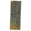 Liquen Subway