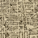 Vintage Map of Newark, New Jersey 1895
