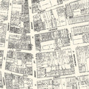 Vintage Map of Trenton, NJ Business Section 1929