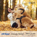 Velocity Pharma Levocetirizine Dihydrochloride 5mg USP Tablets, 24 Hour Allergy Relief Non-Drowsy Antihistamine, 360 Count