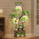 8 Tiered 62" Plant Stand Indoor with Grow Lights, S-Shaped Plant Rack for Home,Patio