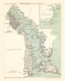 Vintage Map of Mahón, Spain 1878