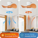 22 Inch Ceiling Fan With LED Light For Kitchen And Bedroom
