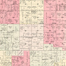Vintage Map of Sheridan Township, Jasper County, Missouri 1895