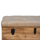 Buffalo - Storage Trunk