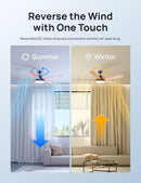 52 Inch Ceiling Fan With Dimmable LED Lights Remote