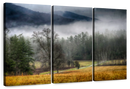 Cades Cove Fields Mist Wall Art