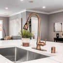 Pull Out Kitchen Faucet with Deck Plate, Single Level Solid Brass Kitchen Sink Faucets with Pull Down Sprayer-AK96418-D-AC