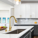 Pull Out Kitchen Faucet with Deck Plate, Single Level Solid Brass Kitchen Sink Faucets with Pull Down Sprayer-AK96418-D-BTG
