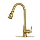 Pull Out Kitchen Faucet with Deck Plate, Single Level Solid Brass Kitchen Sink Faucets with Pull Down Sprayer-AK96418-D-C