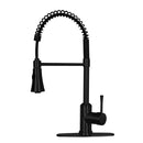 One-Handle Pre-Rinse Spring Brushed Gold Kitchen Faucet - AK96566-BTG