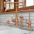 One-Handle Brushed Gold Pot Filler Kitchen Faucet with Side Sprayer - AK96918P1