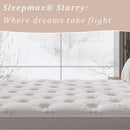 Firm Queen 14 Inch Mattress Hybrid Lumbar Support Plus