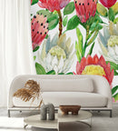 Red and White Protea Wallpaper