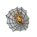 Spiderwebs