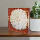 Acrylic Art Block - Juju Hat Rust