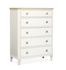 Echo Isles - Drawer Chest - Sea Pearl And Driftwood
