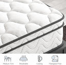 Twin Size Mattress 12Inch Fiberglass Free Memory Foam Hybrid