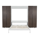 Queen Murphy Bed Wall Bed with Storage Doors, Espresso