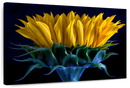 Sunflower Side View Wall Art