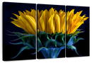 Sunflower Side View Wall Art