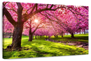 Cherry Blossom Garden Wall Art