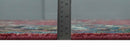 9x12 Antique Hand Knotted Rust and Charcoal Traditional Oushak Wool Area Rug | TRDCP1371912