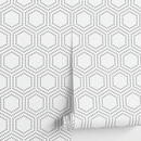 Minimalist Dotted Hexagon Geometric Wallpaper in Black - A730