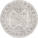 Jules Traditional Light Gray/White/Charcoal Area Rug