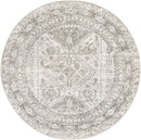 Jules Traditional Light Gray/White/Charcoal Area Rug